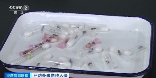 重磅！致死鐵案專辦 官方亮劍重點打擊法醫鑒定失真與謎團